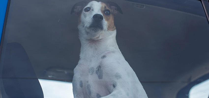 Car Lockout Solutions in Artesia, California